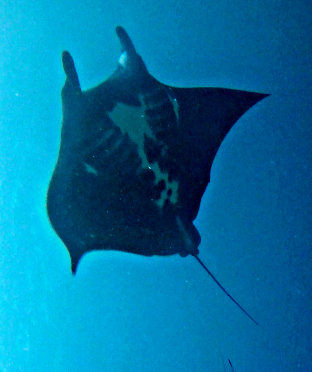 073243b6-2c4e-457e-9ec1-af8141643ea1