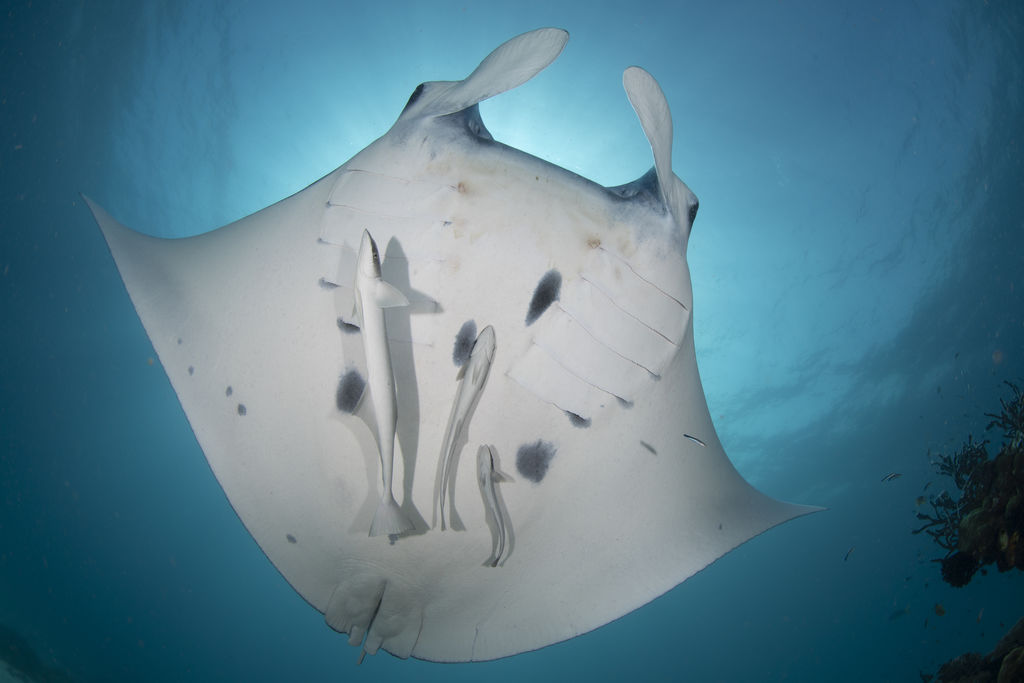 46d13aa0-163c-405a-ab91-c6987654e153