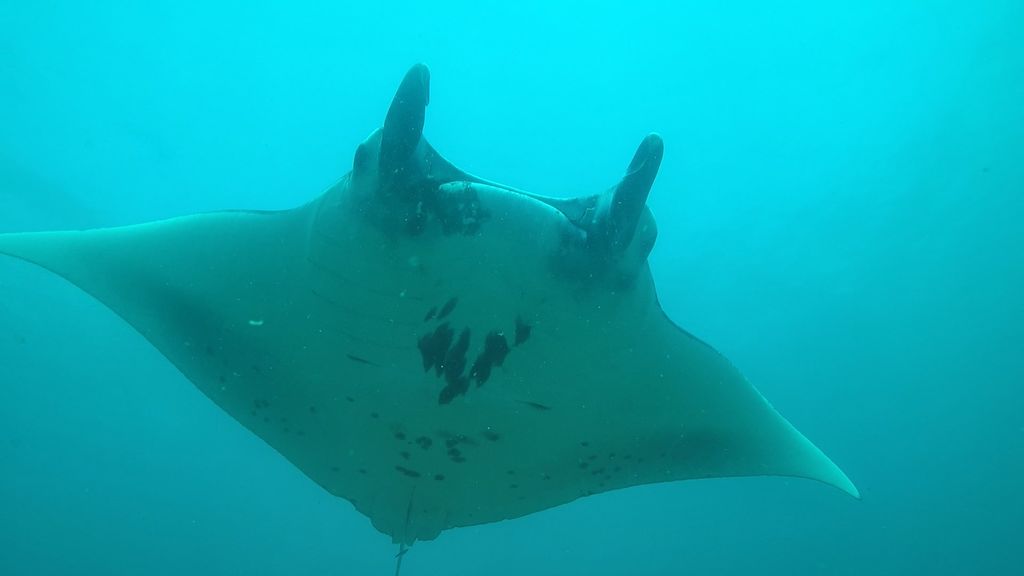 bb3e6b40-4656-4742-9eeb-8e12f379f6f2