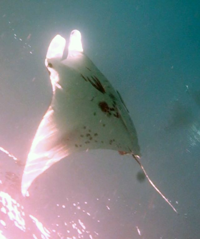 31071435-9020-4a71-a9b6-8afbac1a5a67