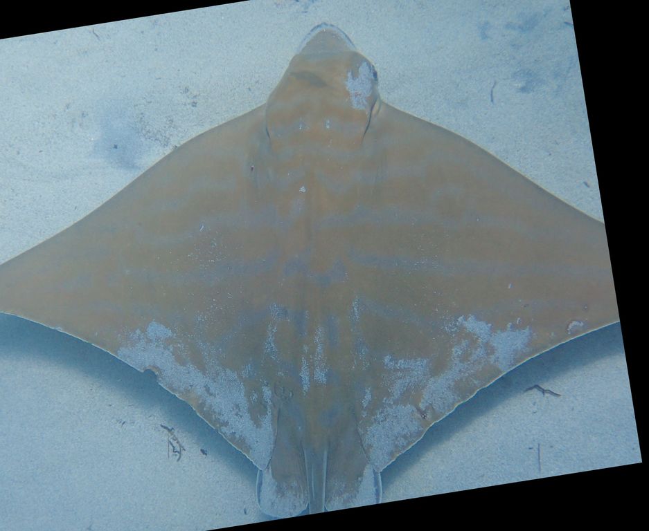 0000e9d7-6e66-47aa-9cbb-92a44f45b854