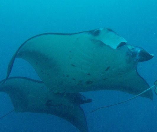 54a78869-a6d1-4f00-a7be-ac13671c9397