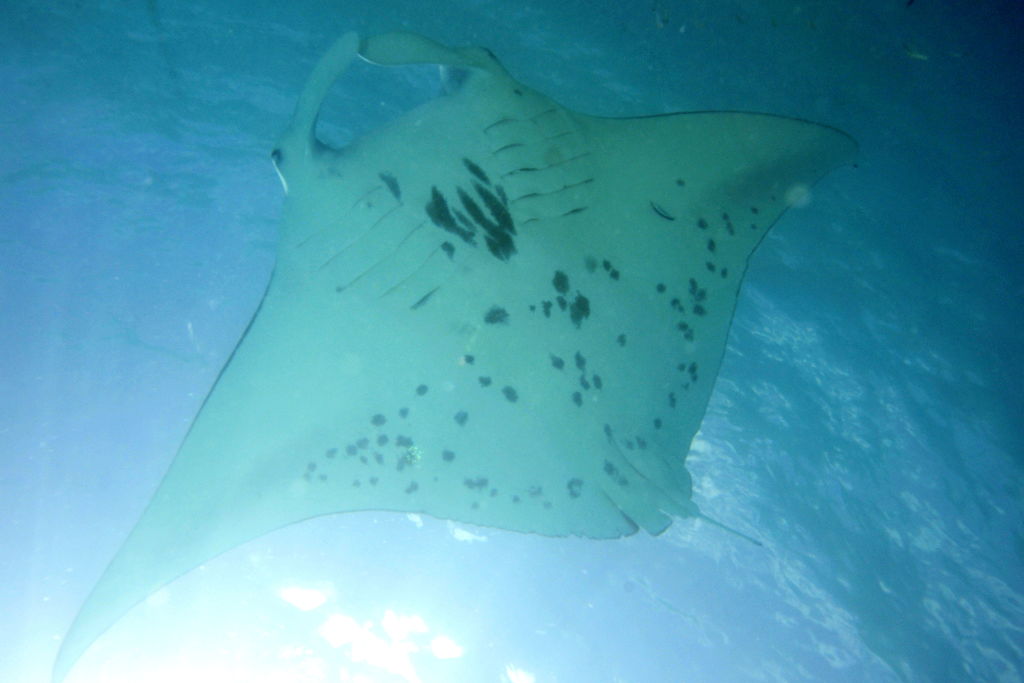 e8e03be5-698f-4350-8925-6ac06263c918