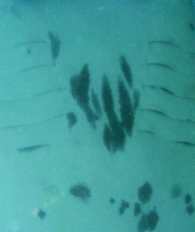 e8e03be5-698f-4350-8925-6ac06263c918