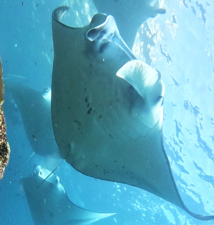 15c42f7b-7969-45ca-896c-1d5ad5596c04