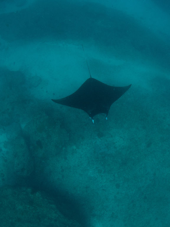 794275da-3483-4373-8a99-9a60512b8a56