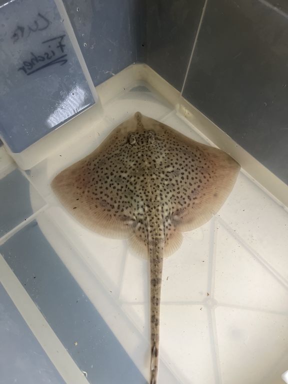 6a4f8140-a56a-40ca-96b9-596ffc34399e