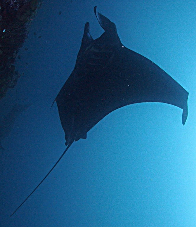 b1598454-014a-4ce4-8096-96abdac3567b