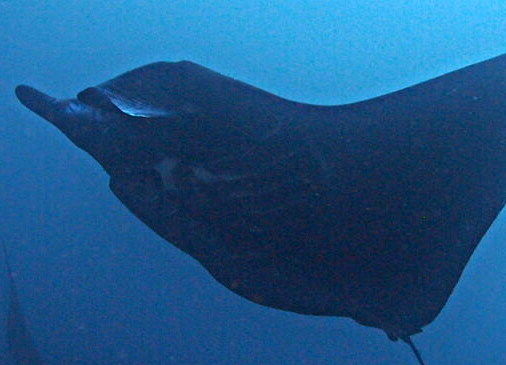 b1598454-014a-4ce4-8096-96abdac3567b