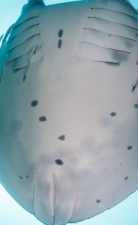 d61f412f-5a85-4638-afb1-feaed9964ccb