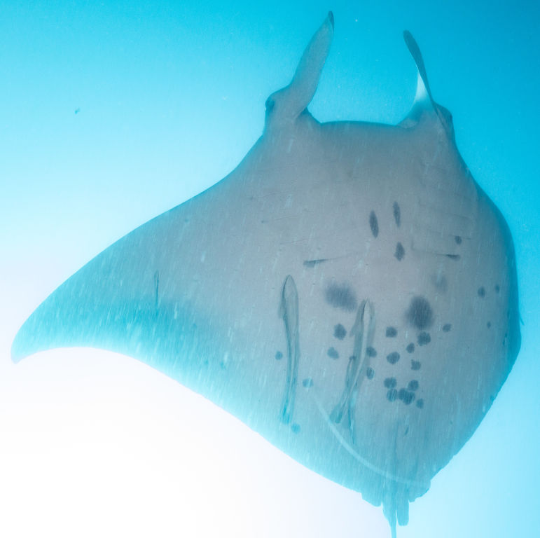 572ba49c-9512-41be-9fef-da3338ad8e34