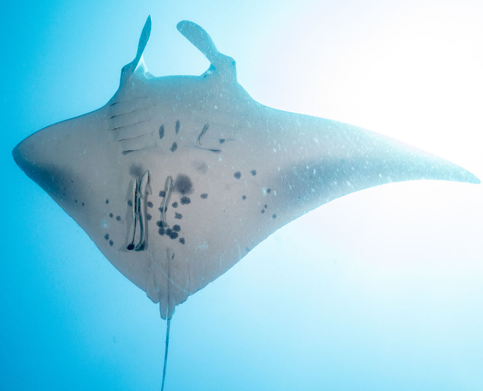 572ba49c-9512-41be-9fef-da3338ad8e34