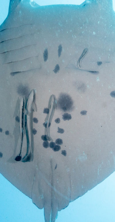 572ba49c-9512-41be-9fef-da3338ad8e34