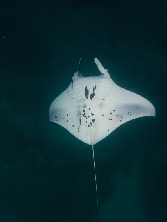 398f2e64-4be5-4152-b3db-174e2be3912a