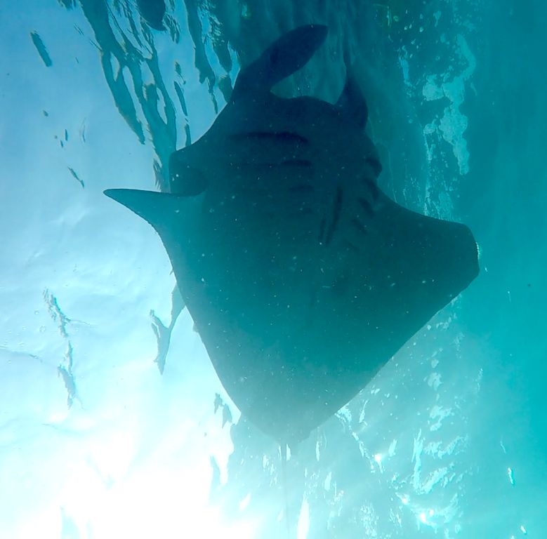 e1f562bc-0ed3-475d-ac78-4209268745dc