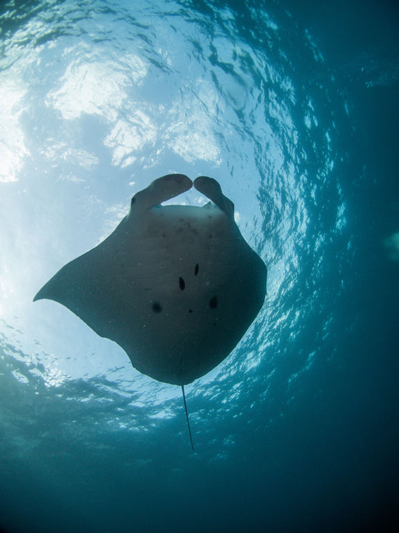 544bb27e-70d7-4ecc-8245-26eb0249eef7