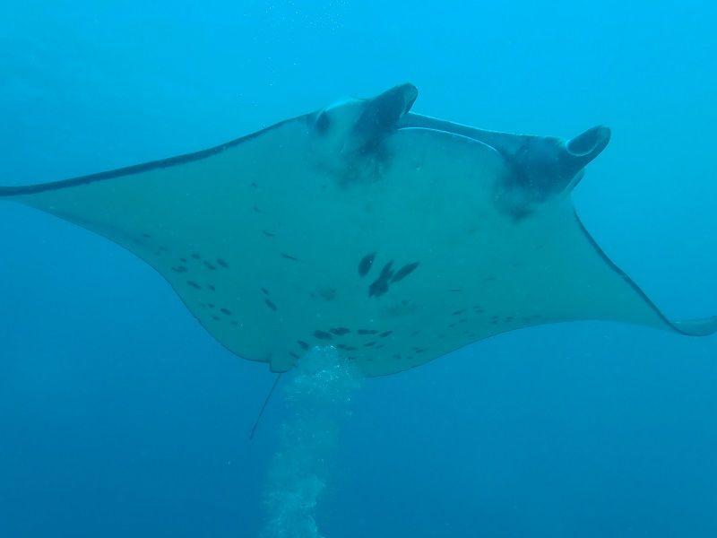 e953b4f3-4ff5-4103-be1d-0f9a0b5508a3