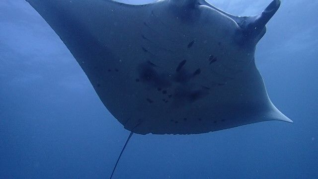 4f2618f2-3db5-4a9c-85b9-2a6c8d05467b