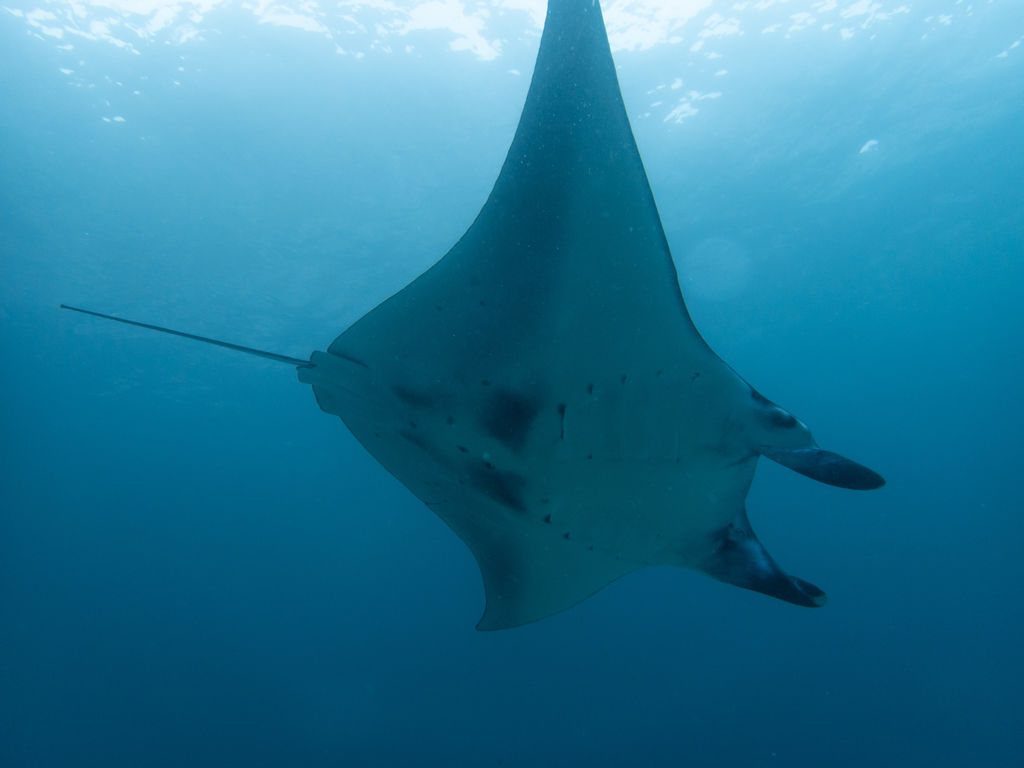 184aa254-3dbd-472b-80f1-ec644ec436fa