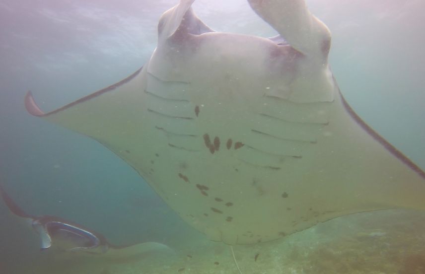 3961db27-b625-4ff2-bc29-3760aac24d72