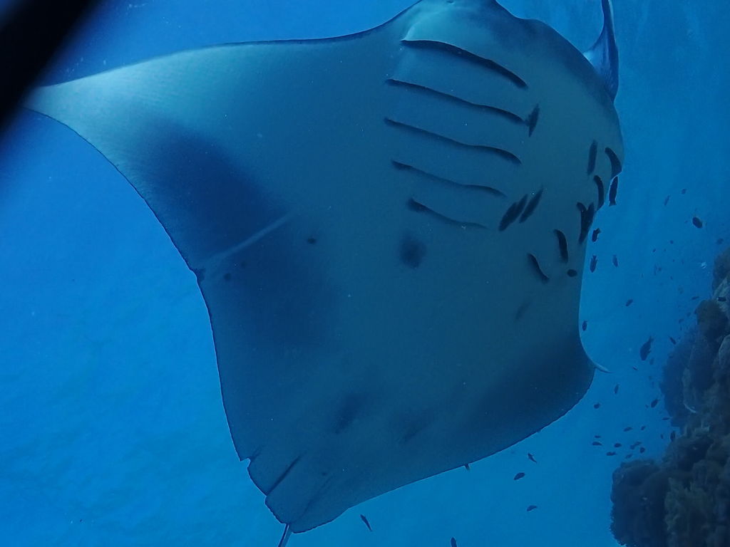 b42a6bb2-486c-442c-98be-010f5362b772