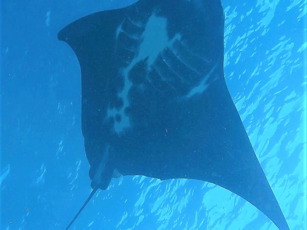 073243b6-2c4e-457e-9ec1-af8141643ea1