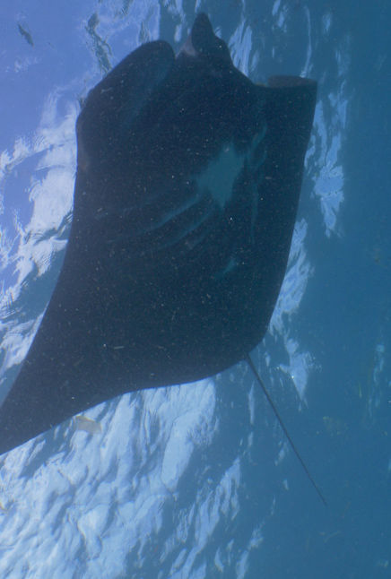 b0bd5ddd-3e6e-4e82-b89b-5225d32dae95