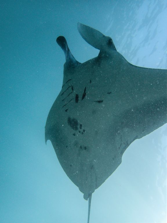 40f8c40d-c500-475d-b070-53b08654fe51