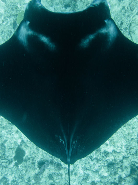 0afa99bc-1420-49dd-aa2e-4cc0417251db