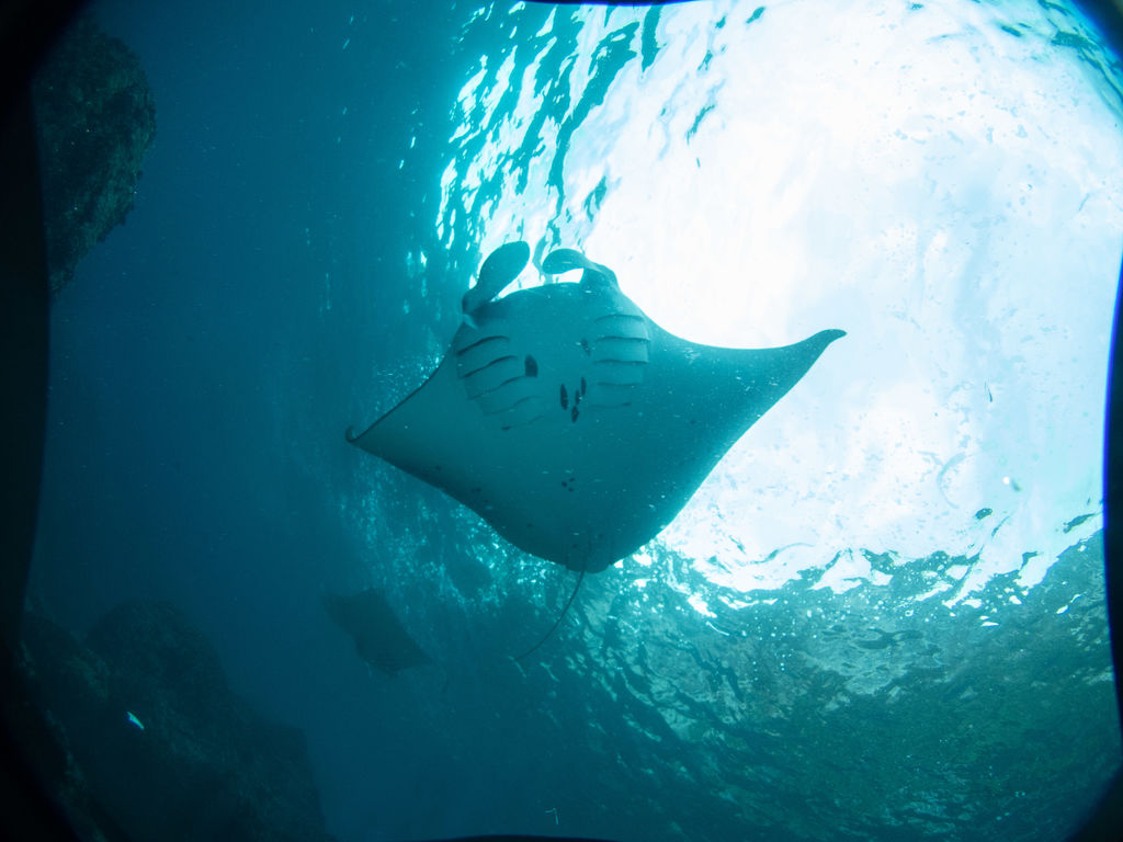 2f4334e1-6617-4040-9f73-02184e8c1e3b