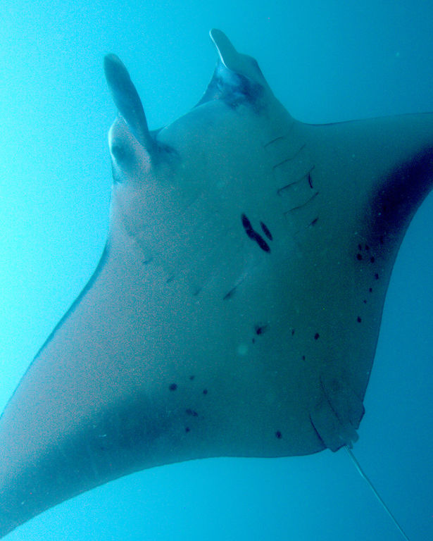 b4c3275c-51ce-4027-9d8c-fa3a9284da53