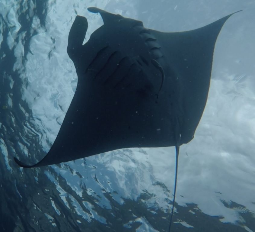 ca487990-7ddf-4e50-a701-6d610b60628f