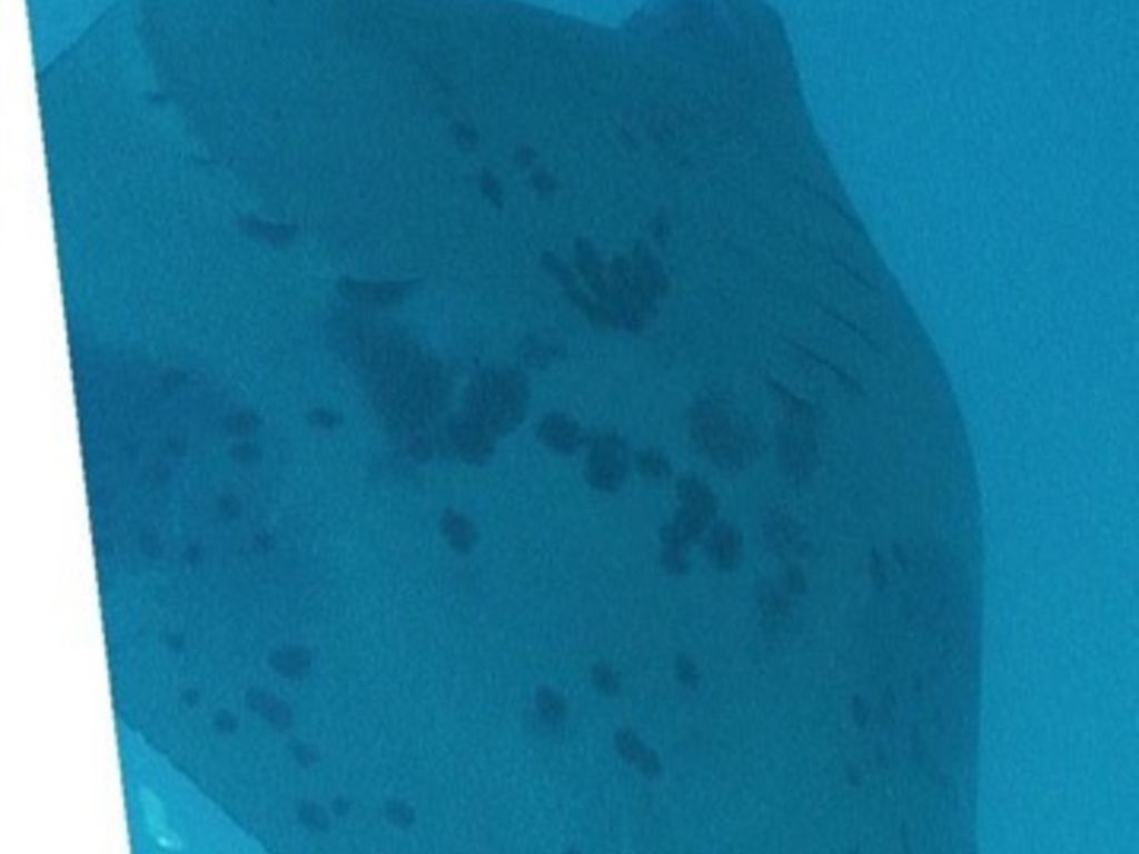 8f545e26-6835-4876-a329-4870dfada460