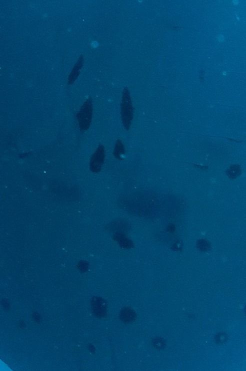 a39402c1-22e6-4ec2-8976-3995848e5439