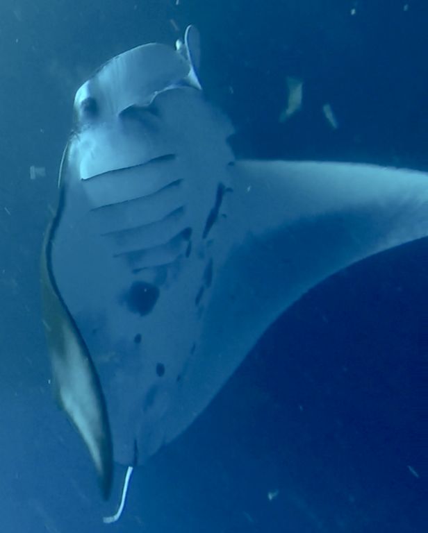 915e89f7-09eb-4ed4-9e15-2a590bc57bbe