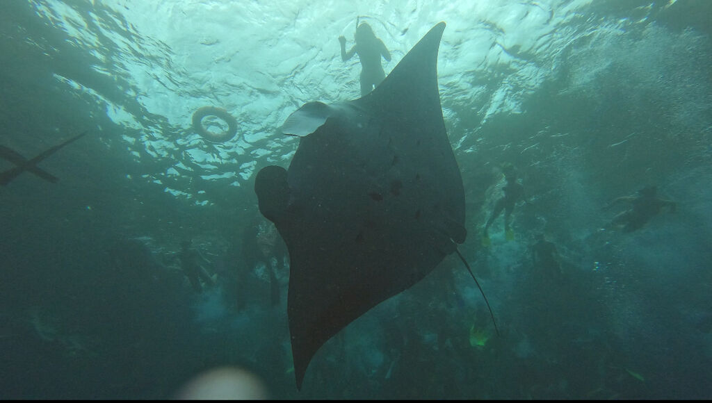 7b74d646-1d03-4408-ac81-5dce39e1b729