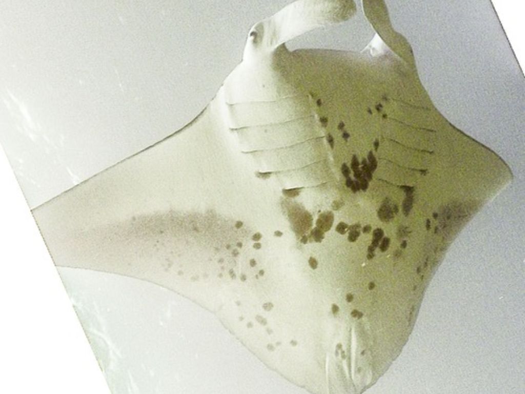 8f545e26-6835-4876-a329-4870dfada460