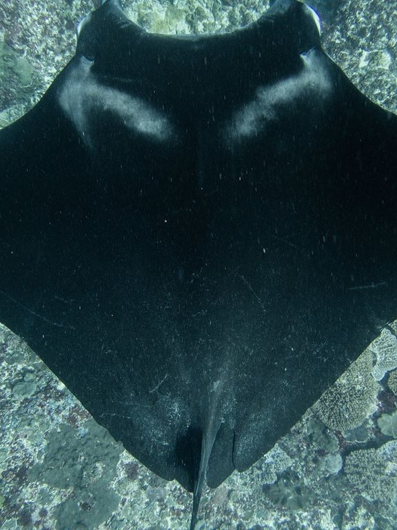 5558d541-6217-47dc-903f-38d889536ee7