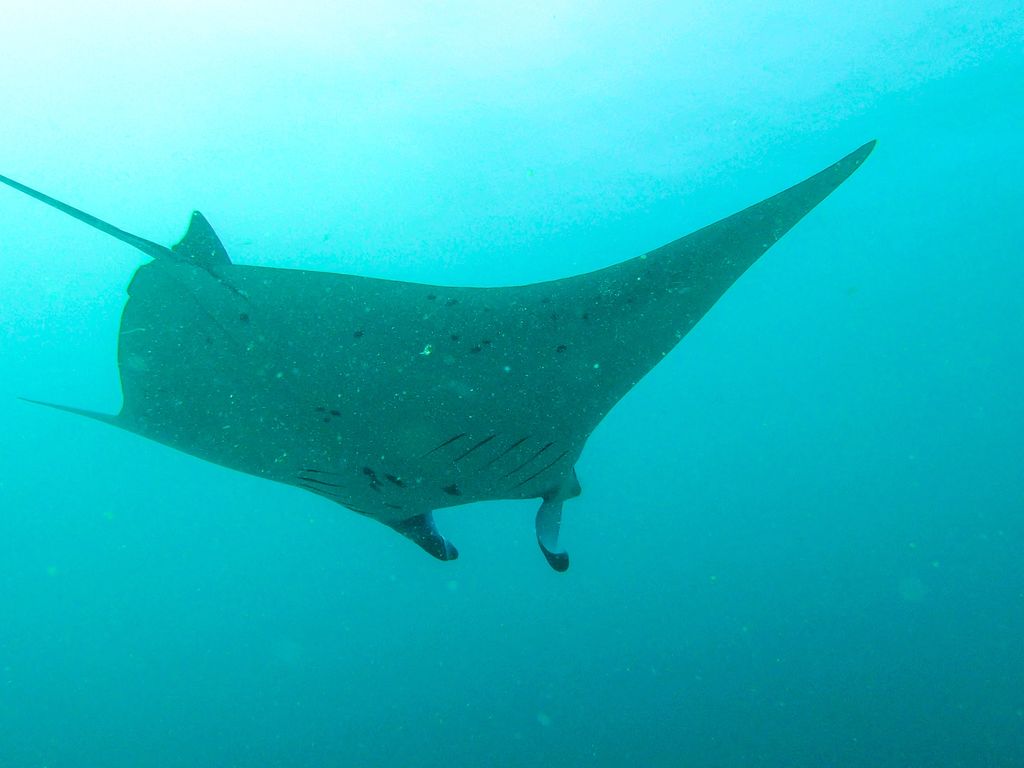 2f4334e1-6617-4040-9f73-02184e8c1e3b