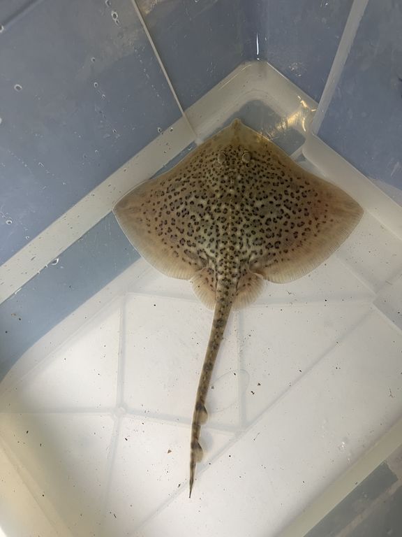 cb9d3d4c-8351-453b-8330-39a20c7c2d34