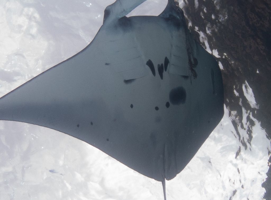 9336c470-b0f1-46a6-a9c8-08397892b925