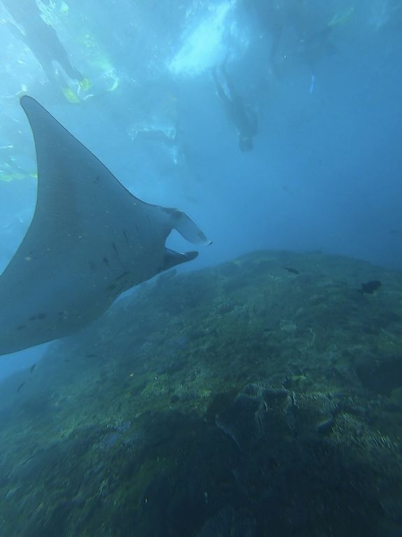 c852e32b-5753-4f3d-bb89-83f72a94b1ff