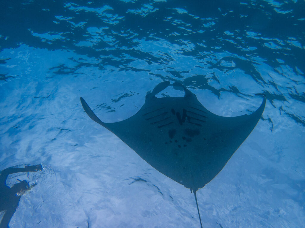 73a09a0a-bdc8-40c1-85fd-c43ce5bc2f49