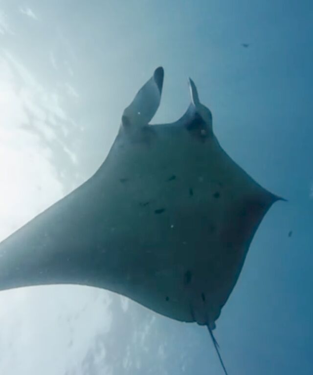 b778e213-6903-4614-8b20-b2f898d13a2e