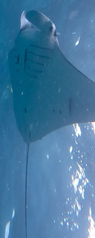 4a0ee0f2-bda8-44ae-900f-84026bad7c86