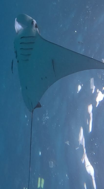 4a0ee0f2-bda8-44ae-900f-84026bad7c86