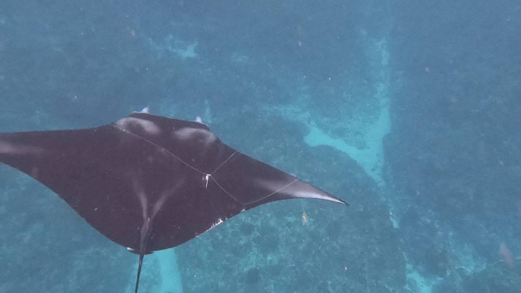 4a0ee0f2-bda8-44ae-900f-84026bad7c86