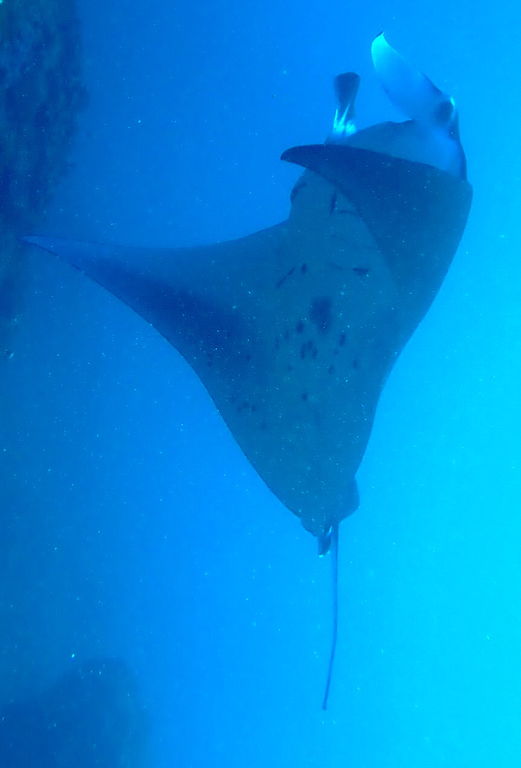 54a78869-a6d1-4f00-a7be-ac13671c9397