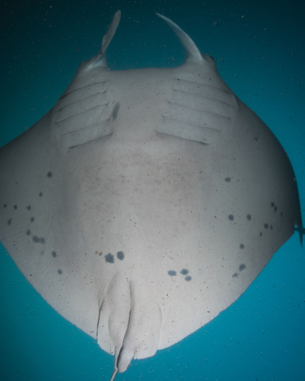 86dd8503-9f0b-4548-8bbc-72b7612e5880