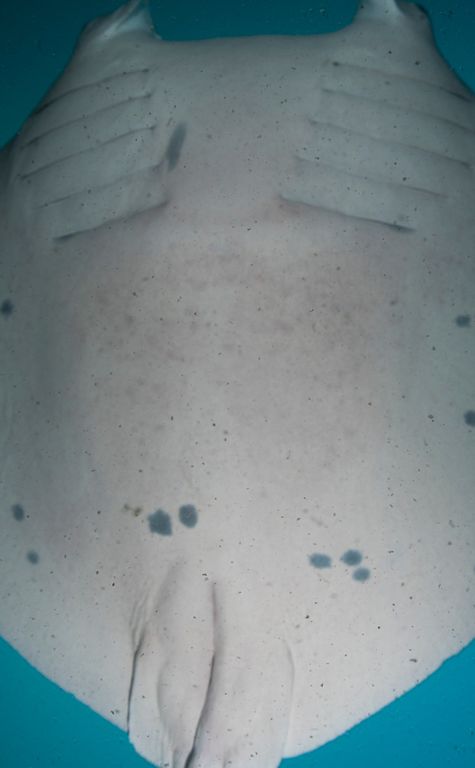 86dd8503-9f0b-4548-8bbc-72b7612e5880